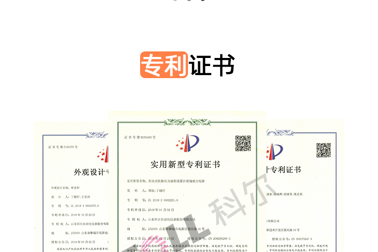 抗振涡街流量计