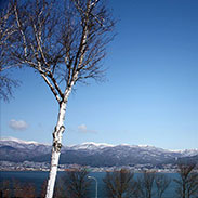 Image-1